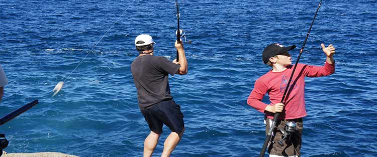 Rock fishing in Taiharuru