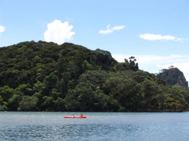 Kayak Taiharuru Estuary
