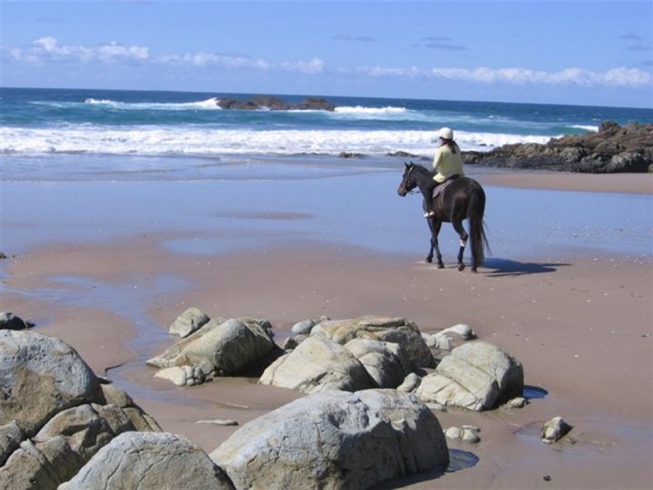 Ocean Beach Horse Riding