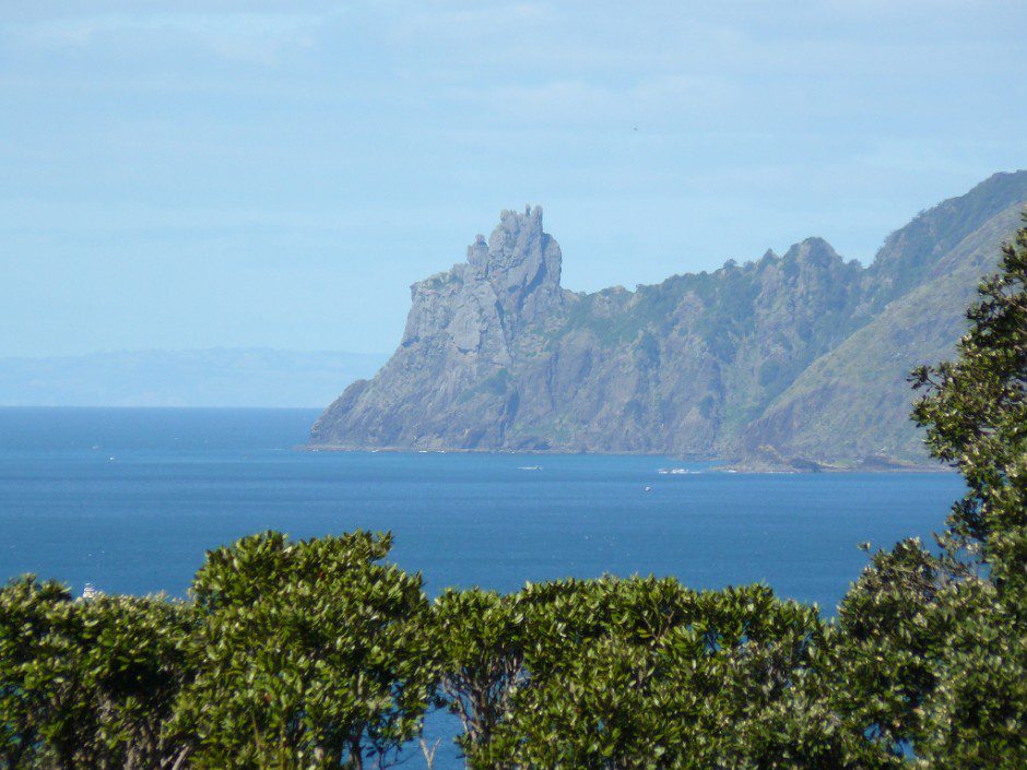 Te Whara Whangarei Heads Ara Roa Unique