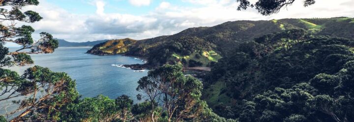 Te Whara Whangarei Airbnb