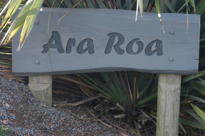Welcome to Ara Roa