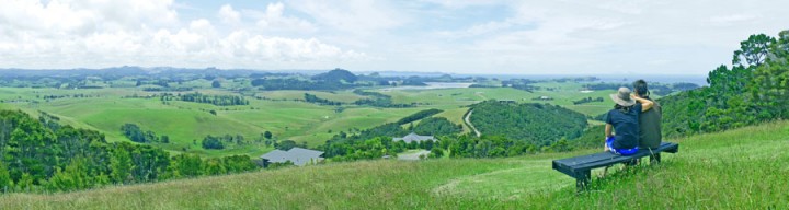 Whangarei Heads Panorama