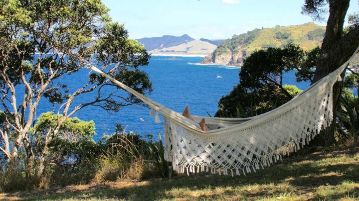 hammock, relax, views, accommodation