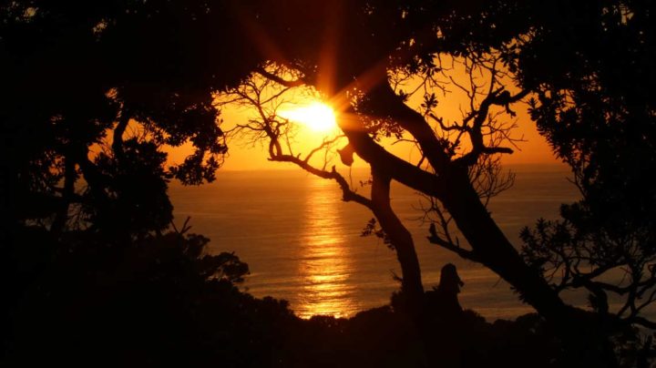 Stunning Coastal Sunsets at Te Whara