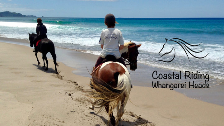 Horse trekking Whangarei Heads