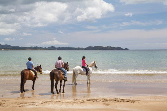 Explore the beach on horseback