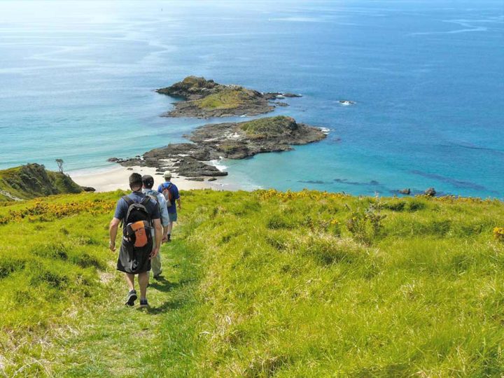 Bream Head local walks and hikes