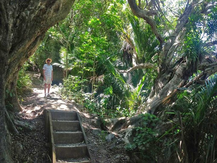Mt Manaia bush walk and hike