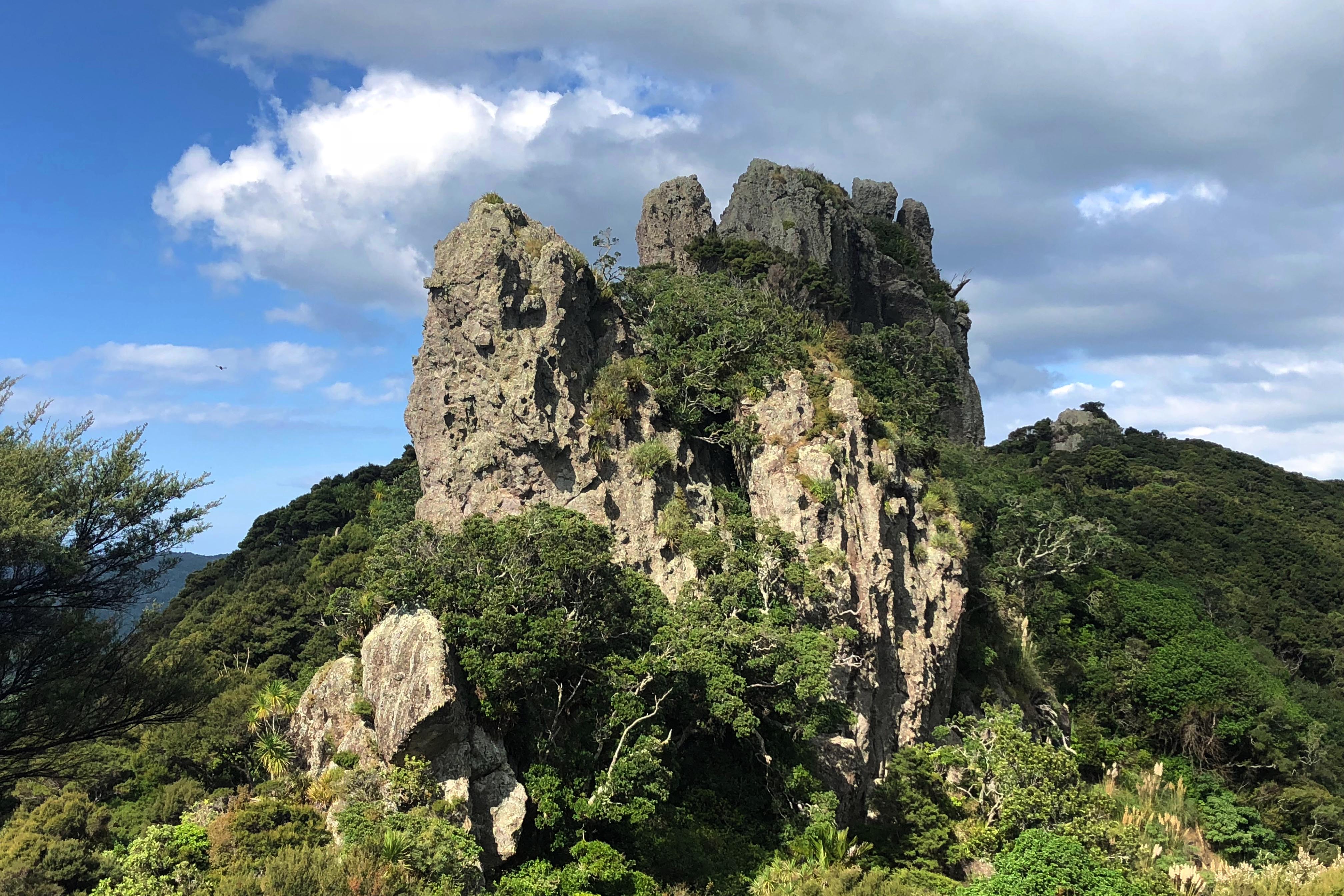 Volcanic peaks Mount Aubrey Whangarei