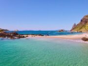 Ocean-Beach-Whangarei-Heads