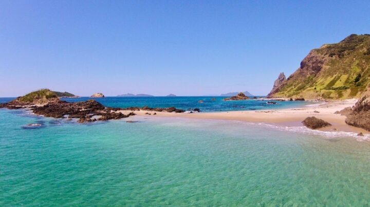 Ocean-Beach-Whangarei-Heads