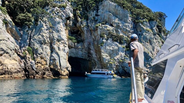 Poor Knights Islands