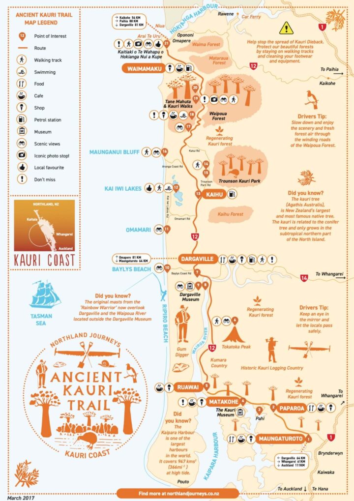 Ancient Kauri Trail Map Northland