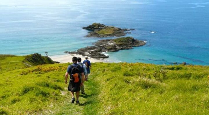 Bream Head walk to Ocean Beach