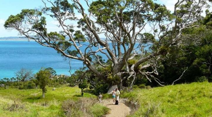 Busby Head Smugglers Cove walk