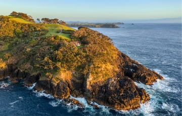 Kauri Mountain Point Northland