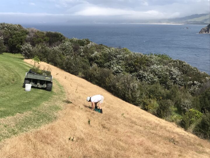 Northland accommodation Sustainability and Conservation 
