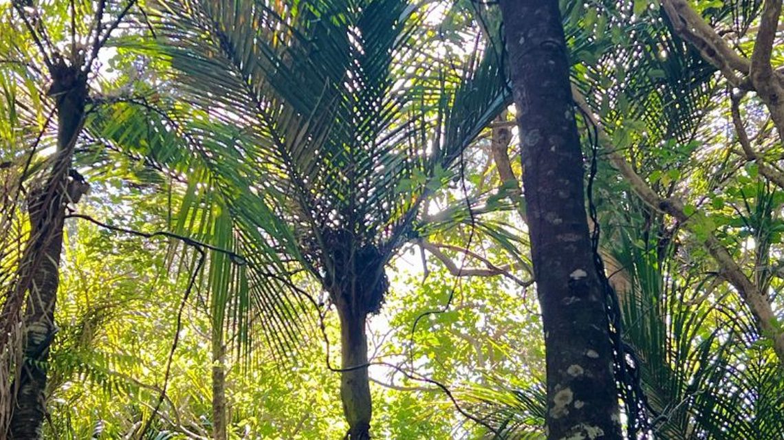 Northland private chef catering